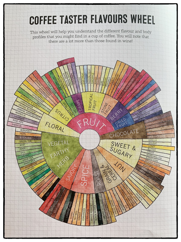 Click To Enlarge Coffee Flavour Wheel and Tasting Notes - Page 1