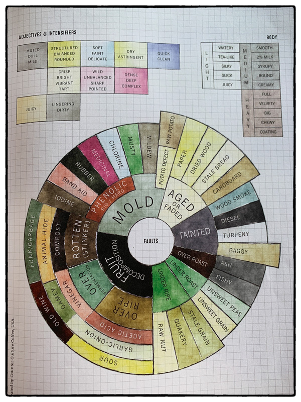Click To Enlarge Coffee Flavour Wheel and Tasting Notes - Page 2